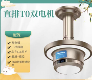 QN-直排T0双电机